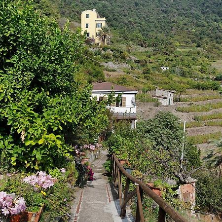 Villa Lardarina Corniglia Zewnętrze zdjęcie