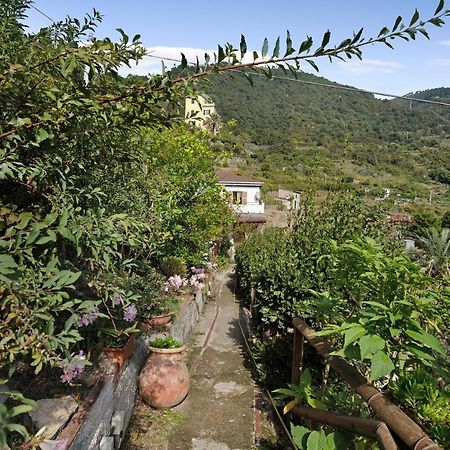 Villa Lardarina Corniglia Zewnętrze zdjęcie