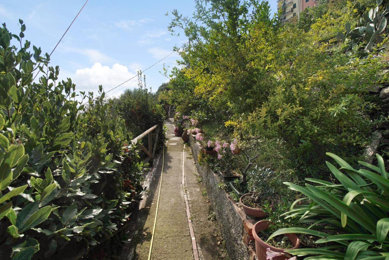 Villa Lardarina Corniglia Zewnętrze zdjęcie
